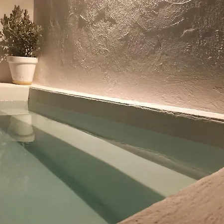 A Casa Da Monstera