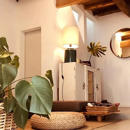 A Casa Da Monstera Holiday home