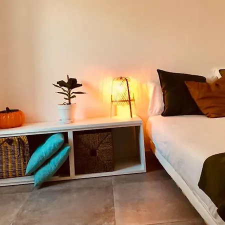 A Casa Da Monstera *