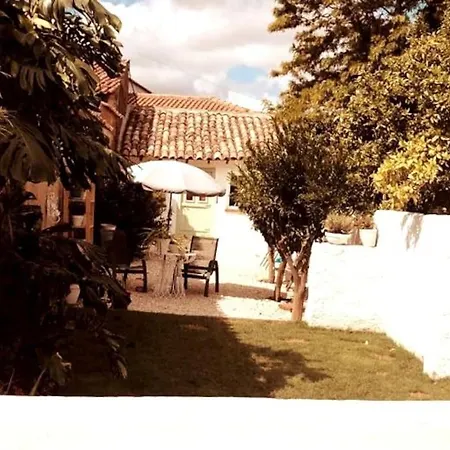A Casa Da Monstera