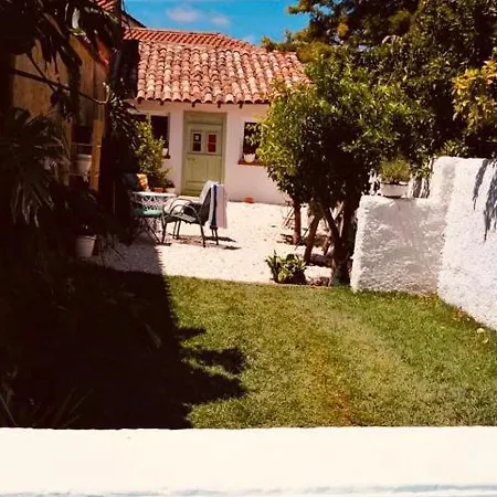 Holiday home A Casa Da Monstera Aldeia Galega da Merceana e Aldeia Gavinha