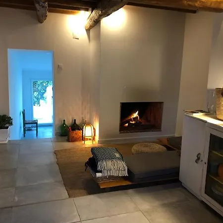 A Casa Da Monstera *